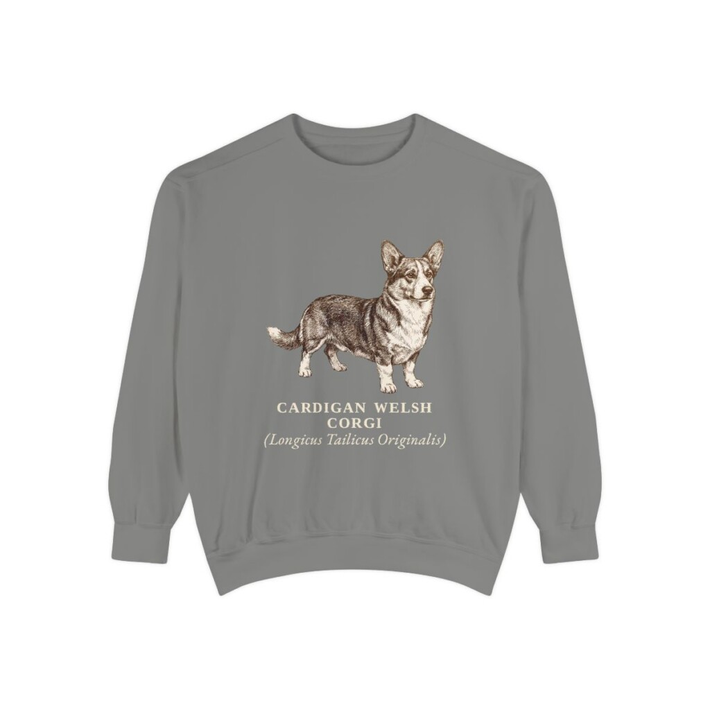 Cardigan Welsh Corgi Latin Sweatshirt, Grey, front view