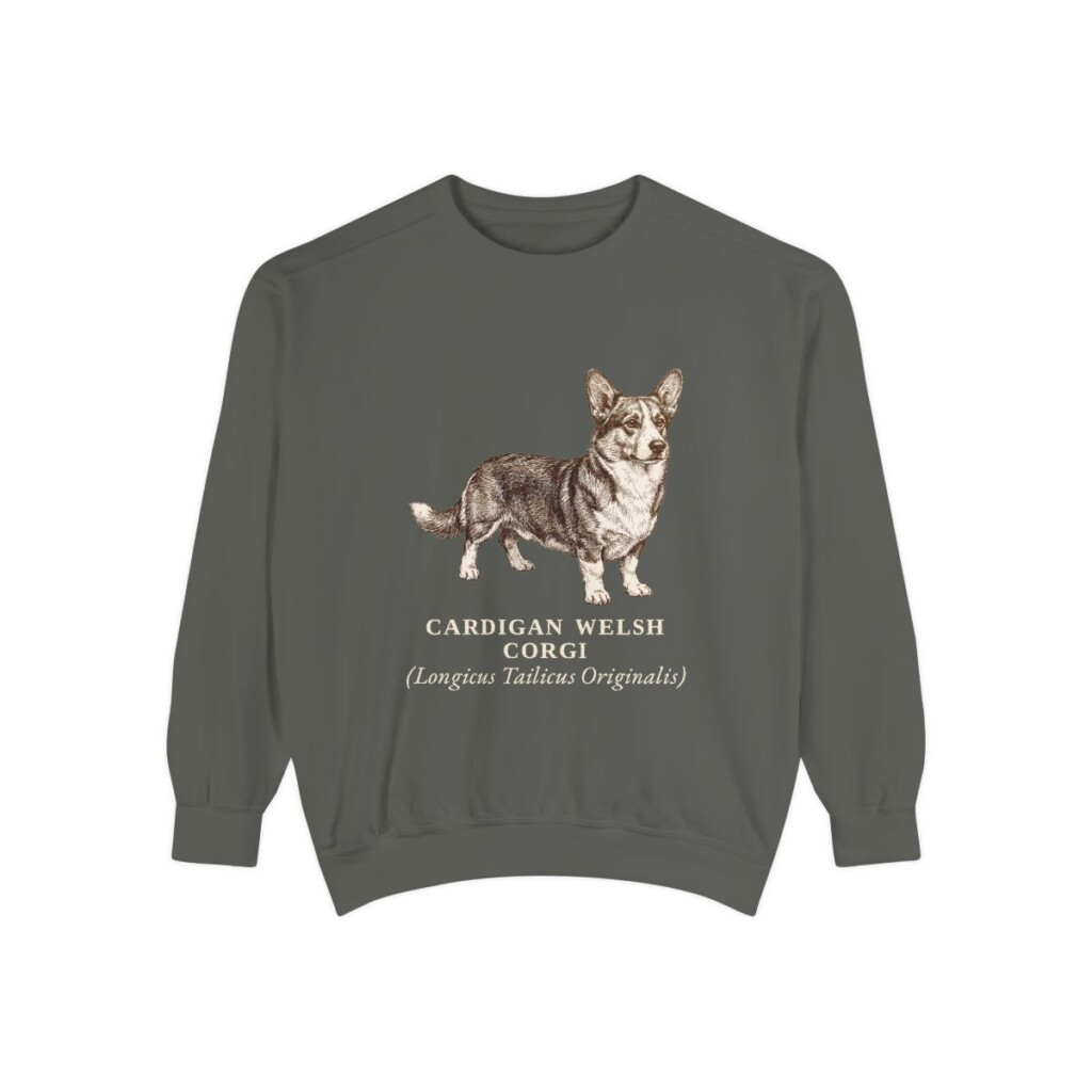 Cardigan Welsh Corgi Latin Sweatshirt, Pepper, front view