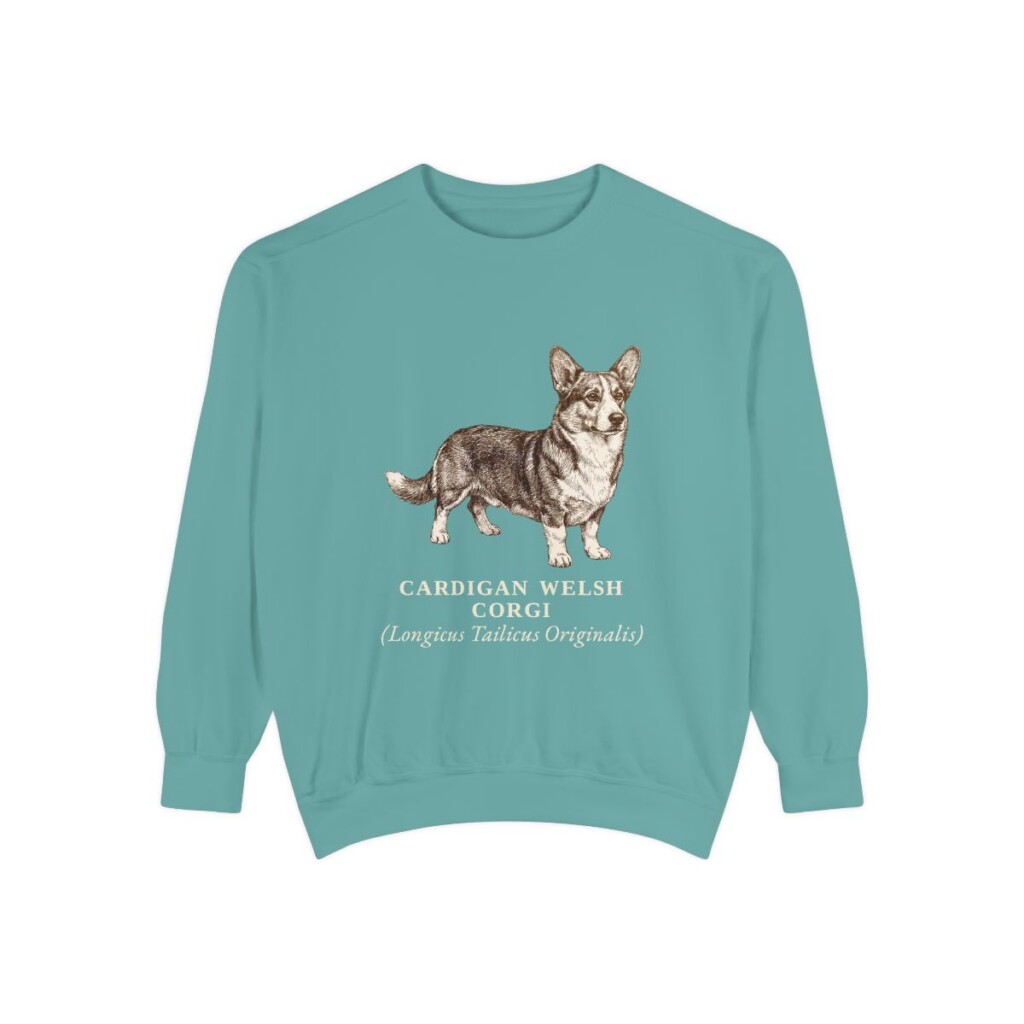Cardigan Welsh Corgi Latin Sweatshirt, Seafoam, front view