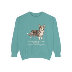 Cardigan Welsh Corgi Latin Sweatshirt, Seafoam, front view