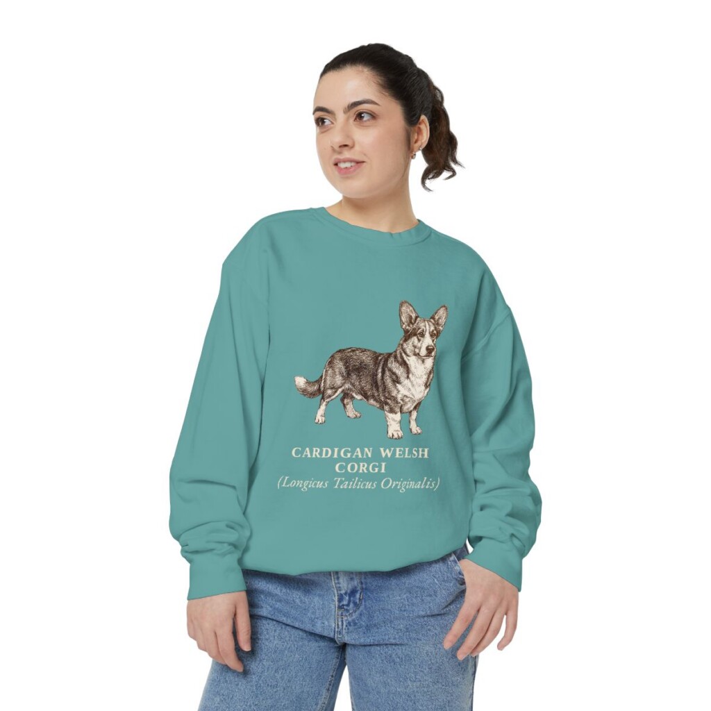 Cardigan Welsh Corgi Latin Sweatshirt, Seafoam, person 2 front