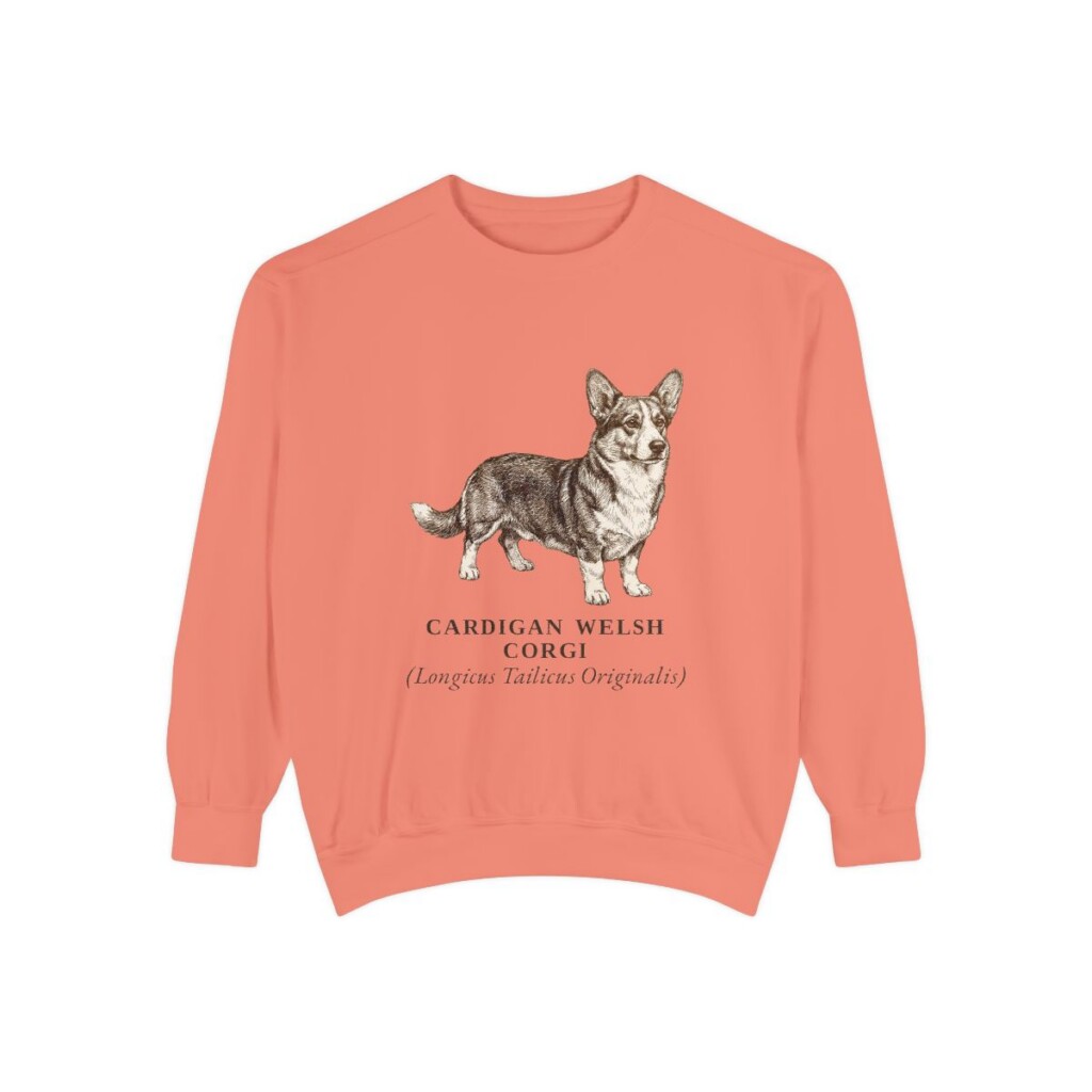 Cardigan Welsh Corgi Latin Sweatshirt, Terracotta, front view