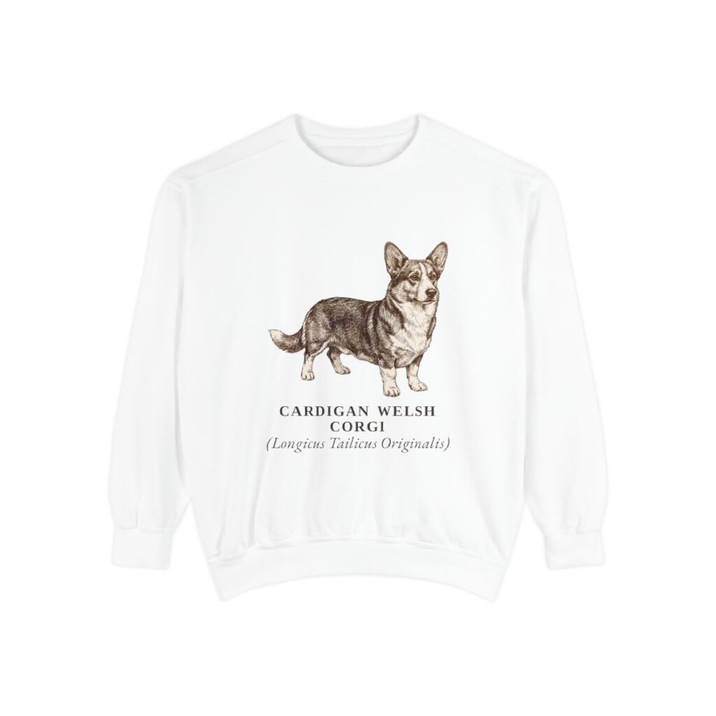 Cardigan Welsh Corgi Latin Sweatshirt, White, front view