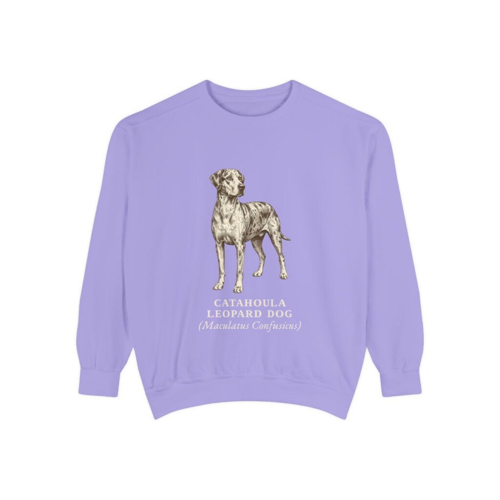Catahoula Leopard Dog Latin Sweatshirt, Violet, front view