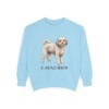 Cavachon Sweatshirt, Chambray, front view