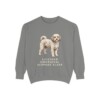 Cavachon Humor Sweatshirt, Grey, front view