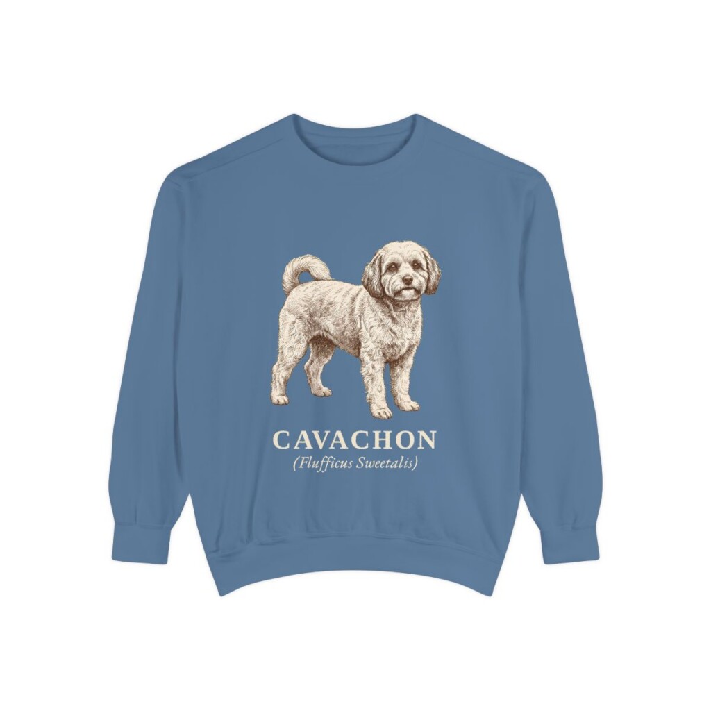 cavachon-sweatshirt-latin-blue-jean Cavachon Latin Sweatshirt, Blue Jean, front view