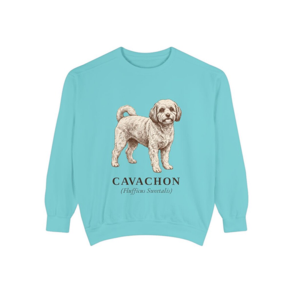 cavachon-sweatshirt-latin-chalky-mint Cavachon Latin Sweatshirt, Chalky Mint, front view
