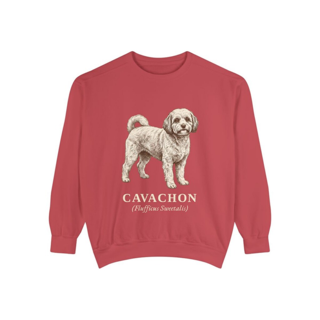 cavachon-sweatshirt-latin-crimson Cavachon Latin Sweatshirt, Crimson, front view