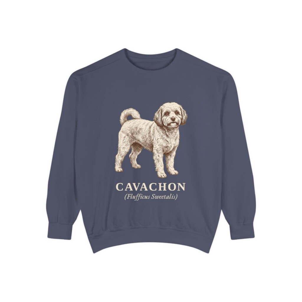 cavachon-sweatshirt-latin-denim Cavachon Latin Sweatshirt, Denim, front view