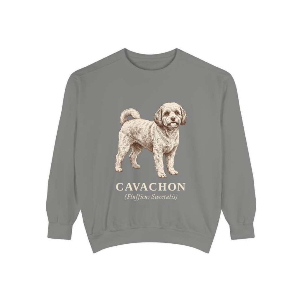 cavachon-sweatshirt-latin-grey Cavachon Latin Sweatshirt, Grey, front view