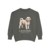 cavachon-sweatshirt-latin-pepper Cavachon Latin Sweatshirt, Pepper, front view