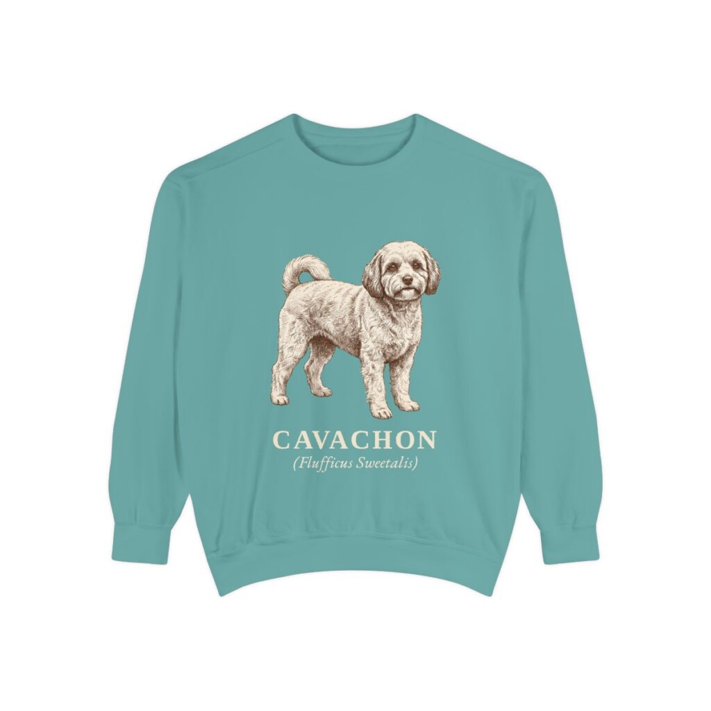 cavachon-sweatshirt-latin-seafoam Cavachon Latin Sweatshirt, Seafoam, front view