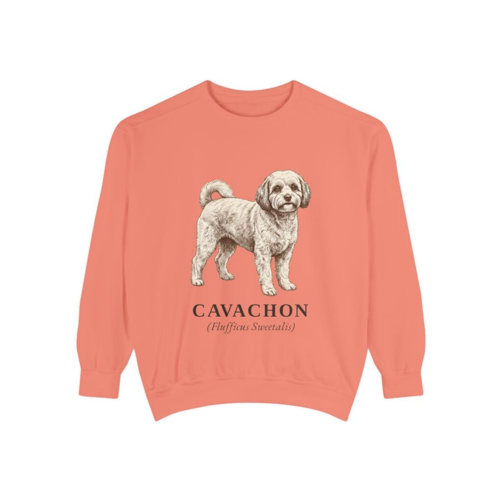 cavachon-sweatshirt-latin-terracotta Cavachon Latin Sweatshirt, Terracotta, front view