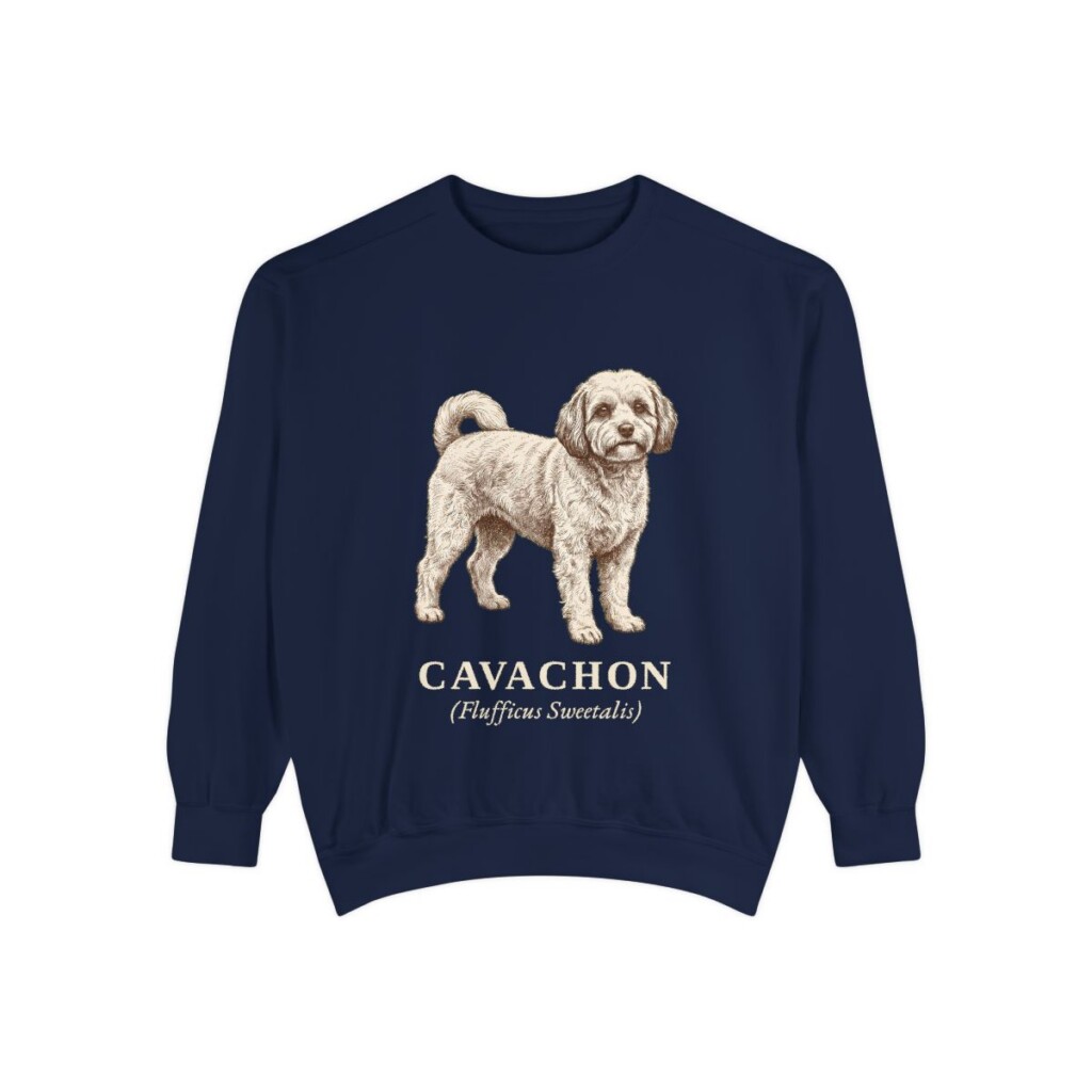 cavachon-sweatshirt-latin-true-navy Cavachon Latin Sweatshirt, True Navy, front view