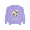 cavachon-sweatshirt-latin-violet Cavachon Latin Sweatshirt, Violet, front view