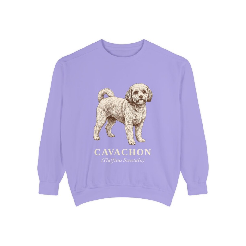 cavachon-sweatshirt-latin-violet Cavachon Latin Sweatshirt, Violet, front view