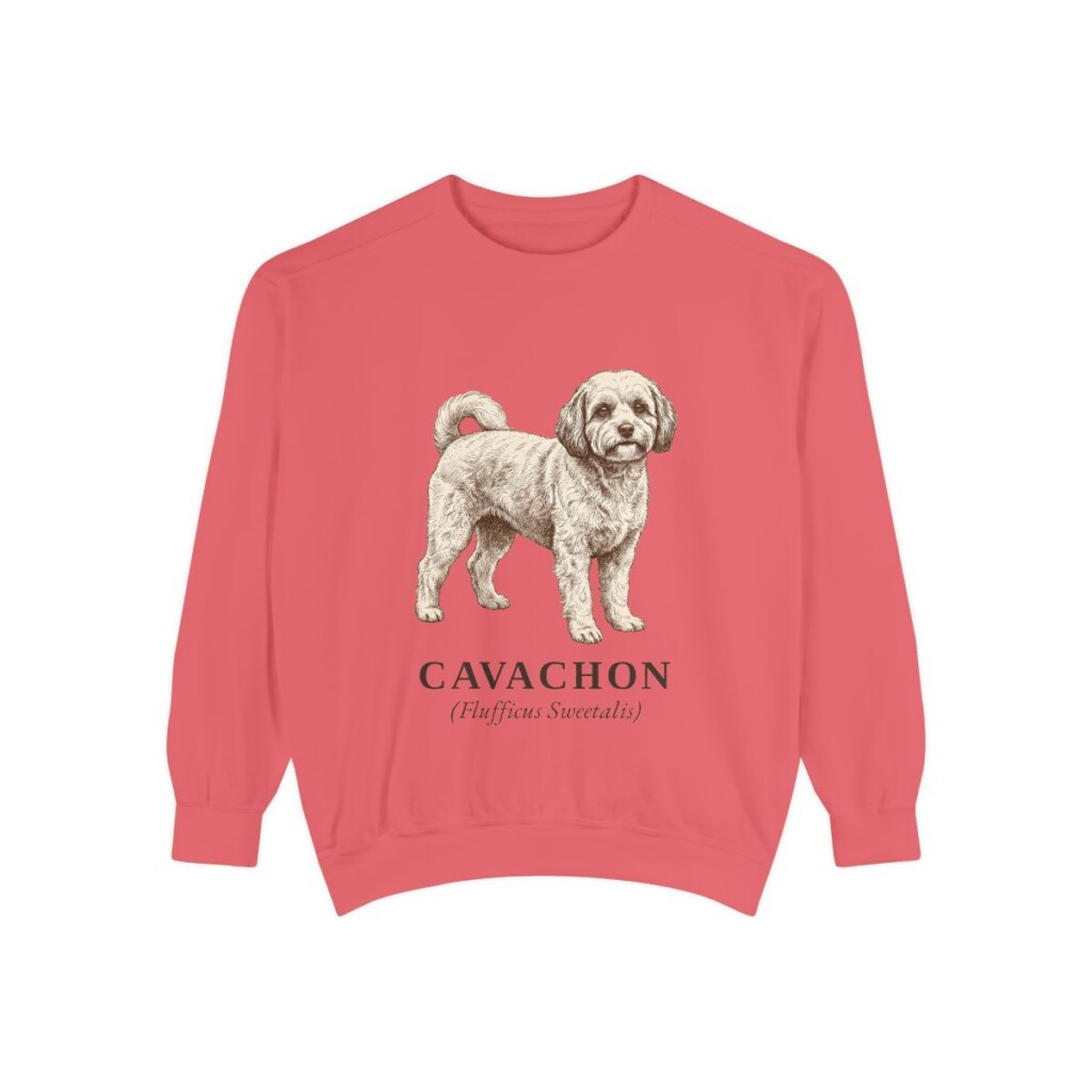 cavachon-sweatshirt-latin-watermelon Cavachon Latin Sweatshirt, Watermelon, front view