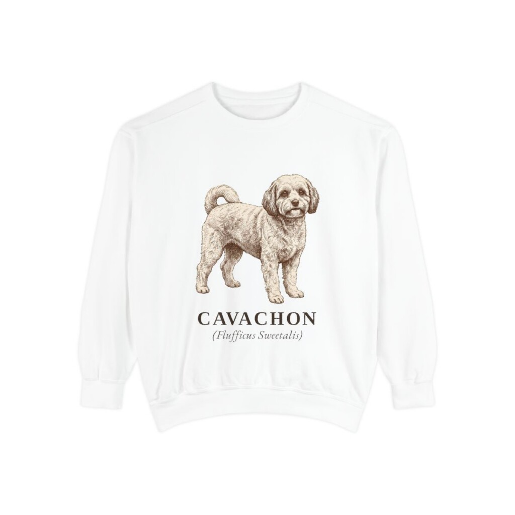 cavachon-sweatshirt-latin-white Cavachon Latin Sweatshirt, White, front view