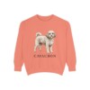 Cavachon Sweatshirt, Terracotta, front view