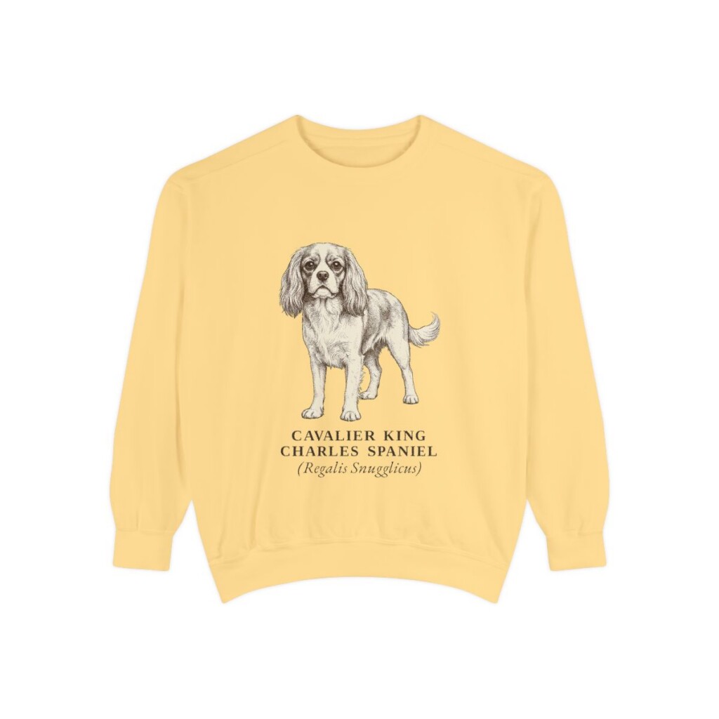 Cavalier King Charles Spaniel Latin Sweatshirt, Butter, front view