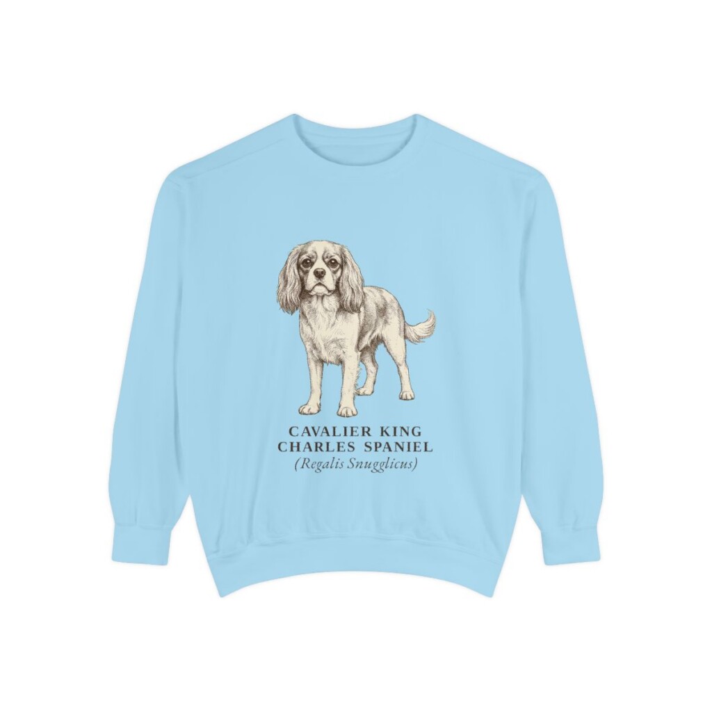 Cavalier King Charles Spaniel Latin Sweatshirt, Chambray, front view