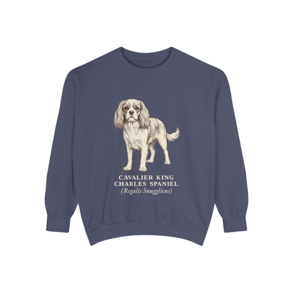 Cavalier King Charles Spaniel Latin Sweatshirt, Denim, front view