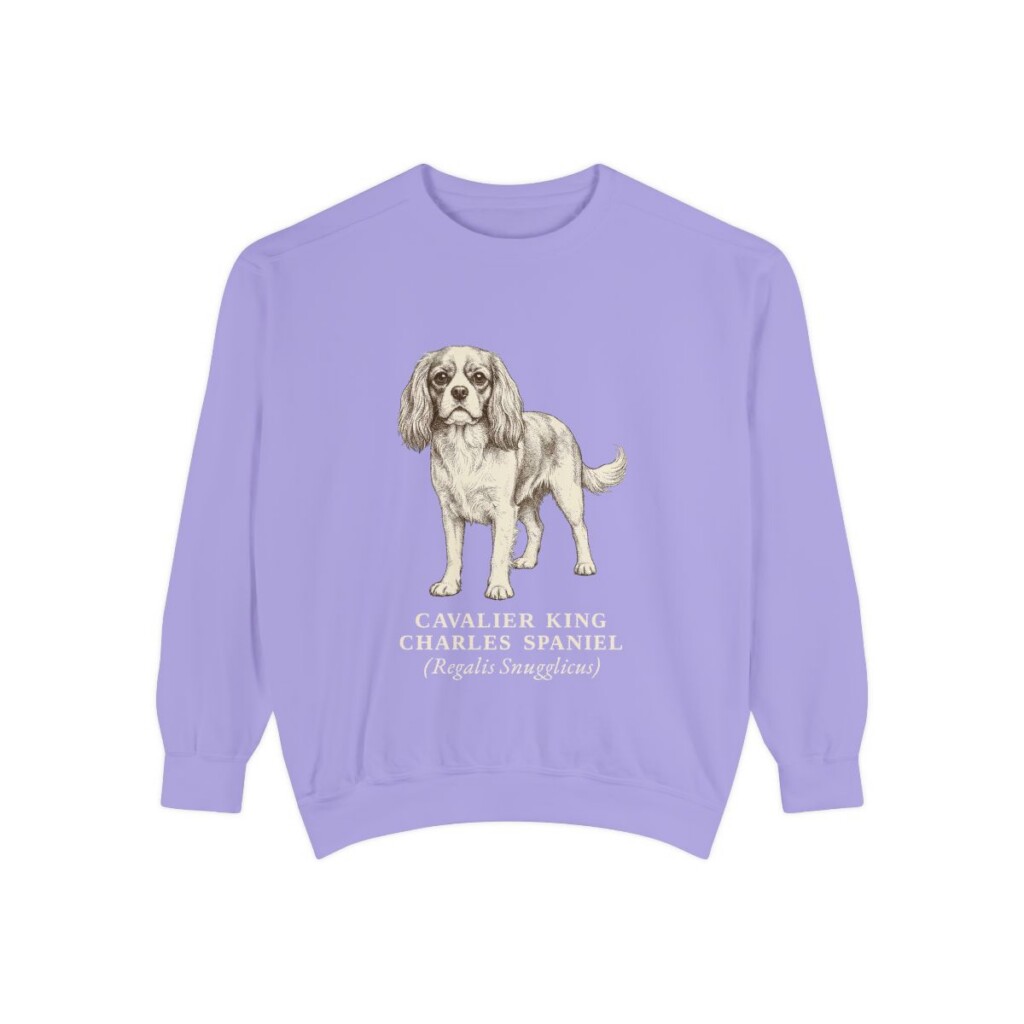 Cavalier King Charles Spaniel Latin Sweatshirt, Violet, front view