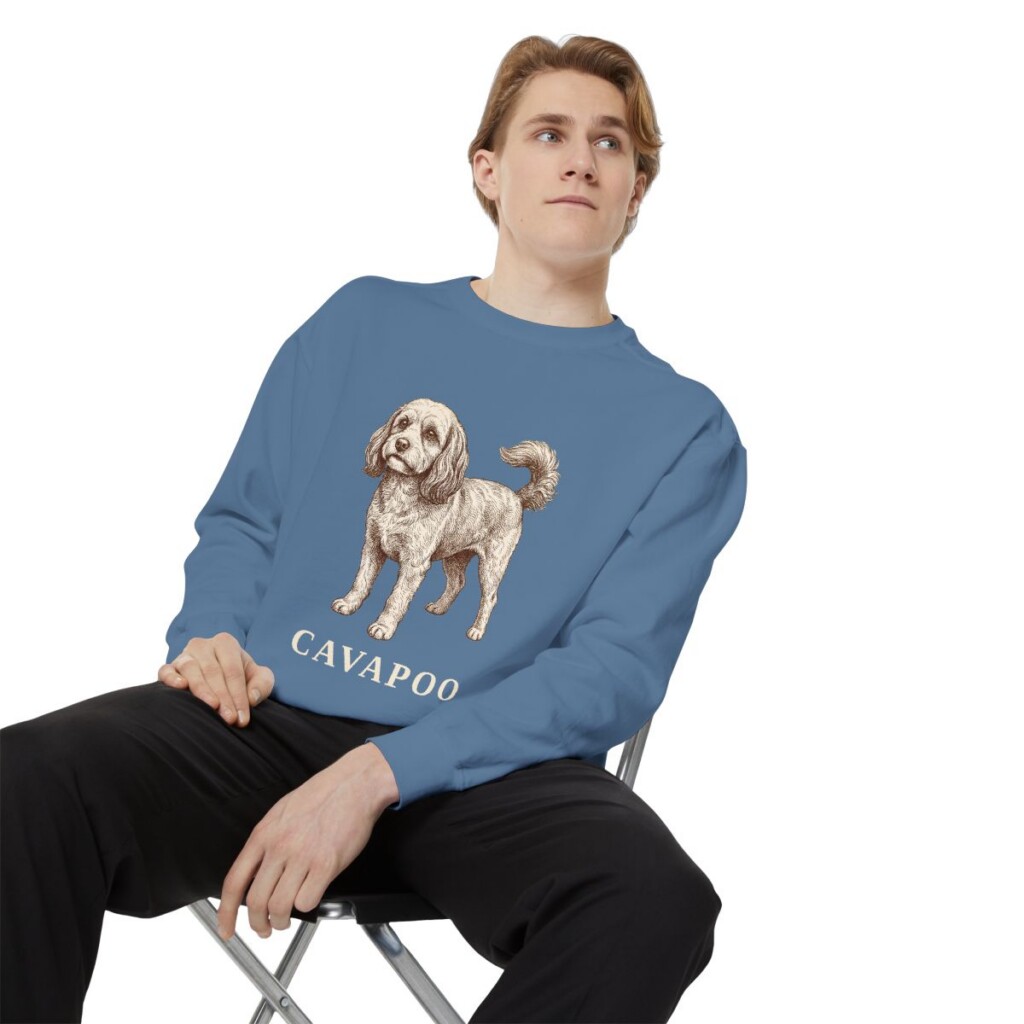 Cavapoo Sweatshirt, Blue Jean, person 1 context