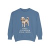 Cavapoo Humor Sweatshirt, Blue Jean, front view