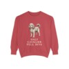 Cavapoo Humor Sweatshirt, Crimson, front view