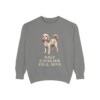 Cavapoo Humor Sweatshirt, Grey, front view