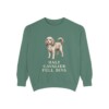 Cavapoo Humor Sweatshirt, Light Green, front view