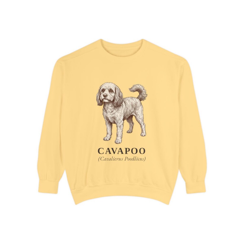 Cavapoo Latin Sweatshirt, Butter, front view