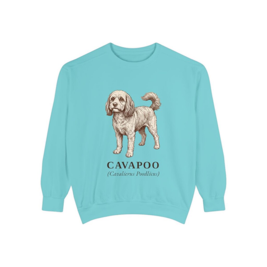 Cavapoo Latin Sweatshirt, Chalky Mint, front view