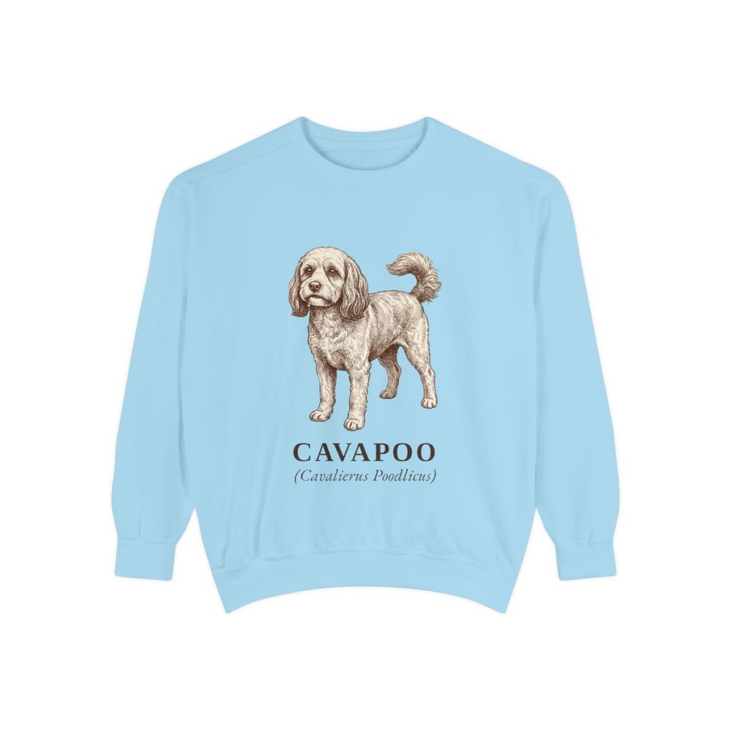 Cavapoo Latin Sweatshirt, Chambray, front view