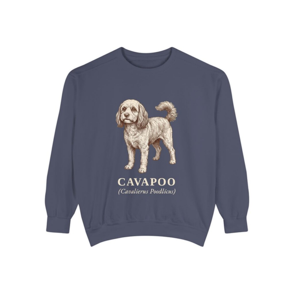 Cavapoo Latin Sweatshirt, Denim, front view