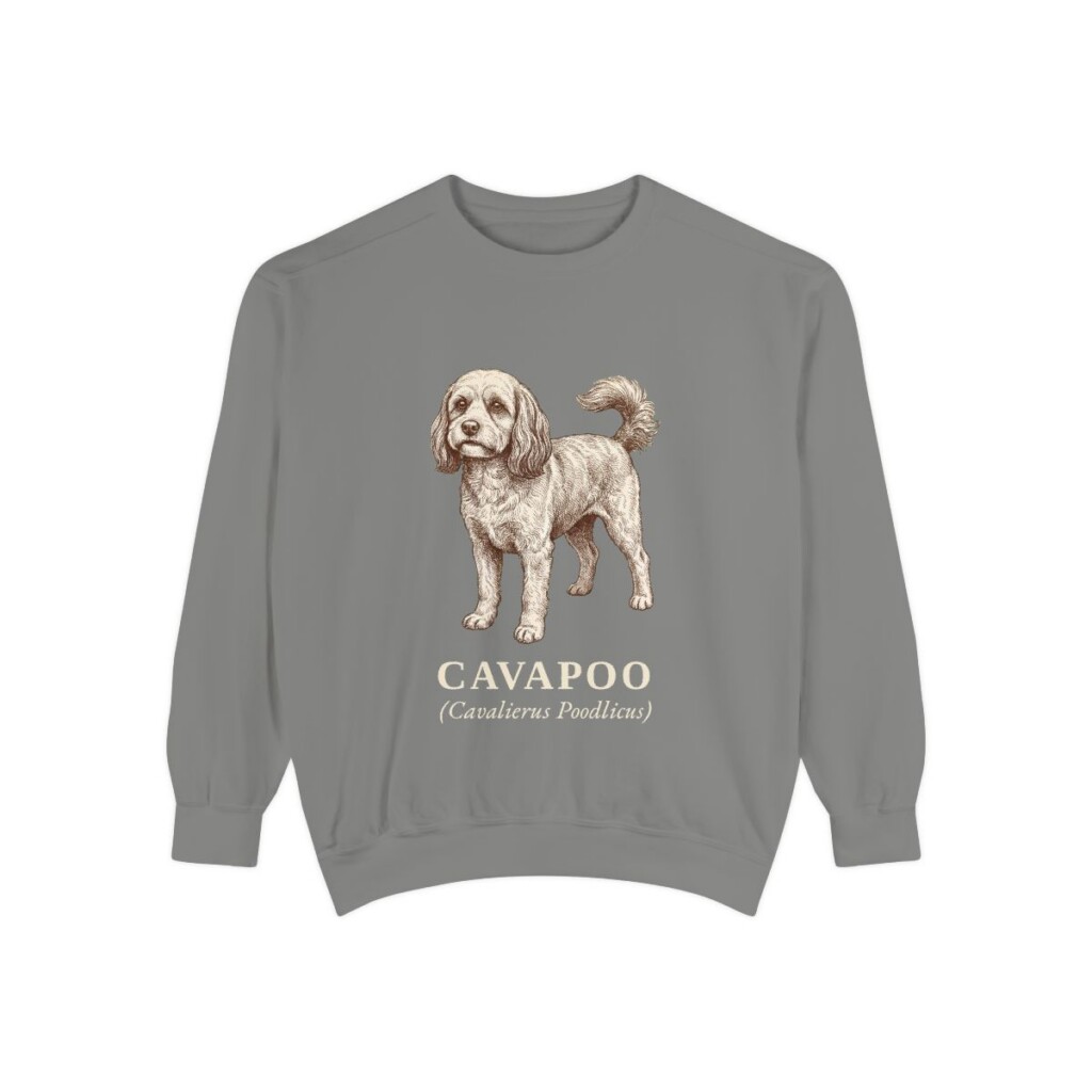Cavapoo Latin Sweatshirt, Grey, front view