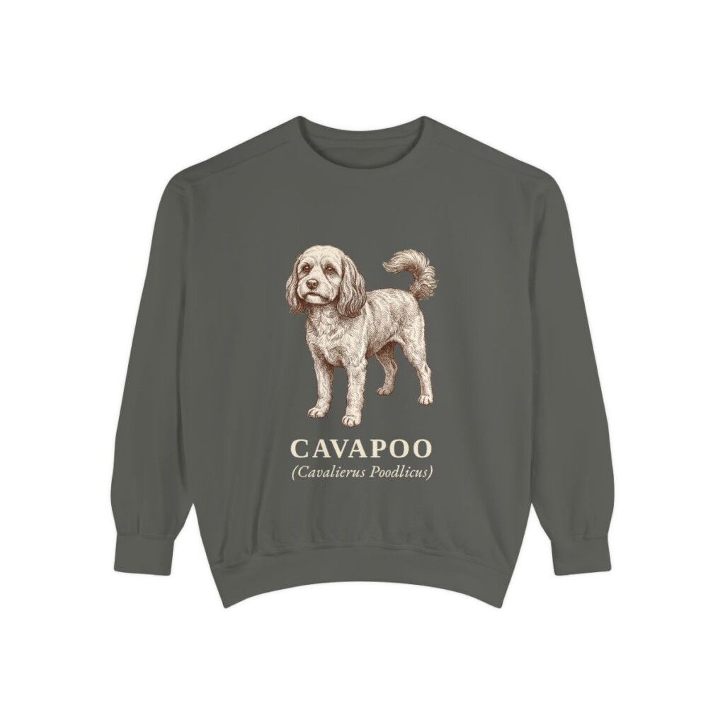 Cavapoo Latin Sweatshirt, Pepper, front view