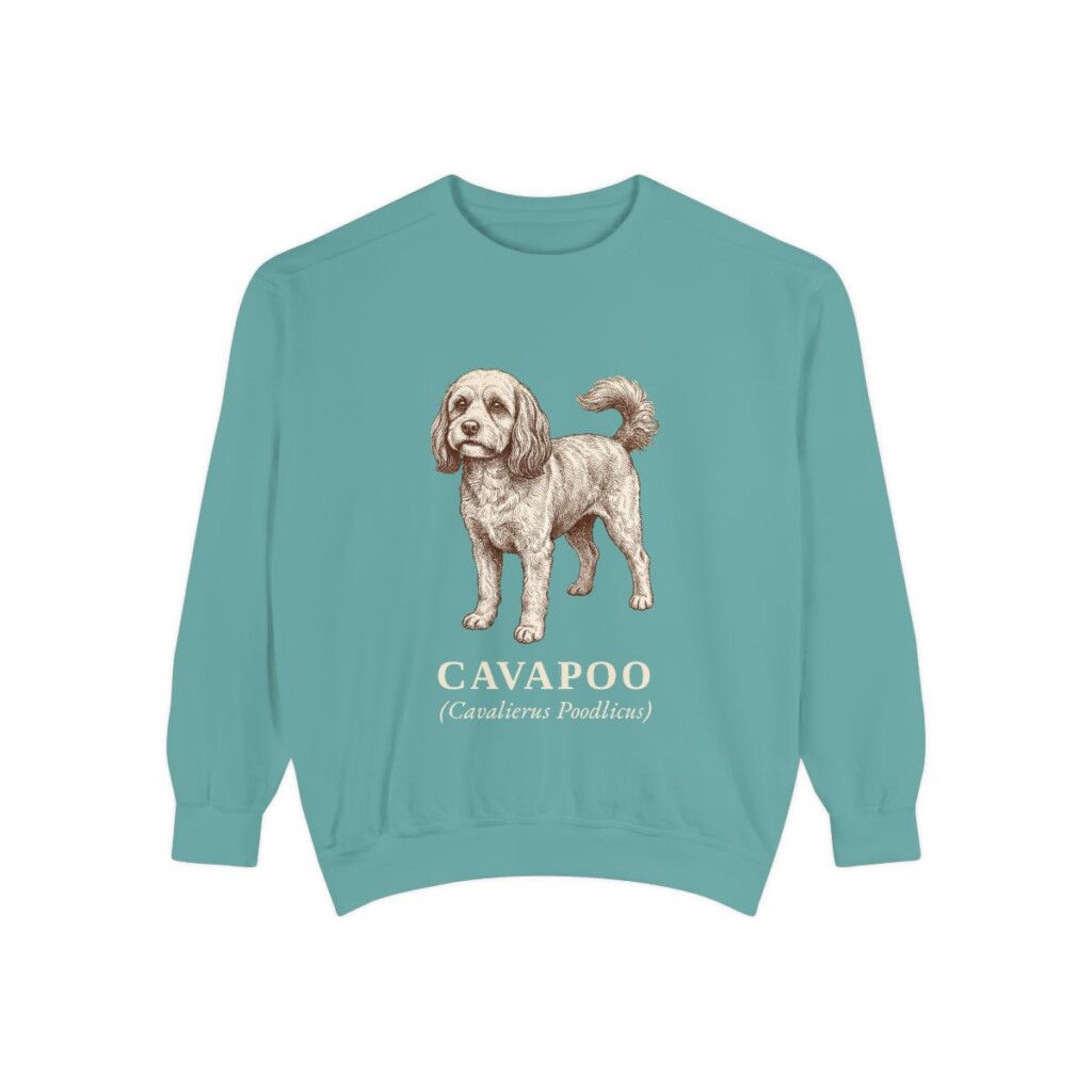 Cavapoo Latin Sweatshirt, Seafoam, front view