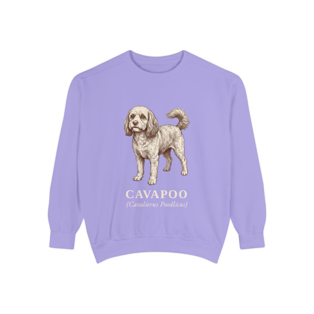 Cavapoo Latin Sweatshirt, Violet, front view