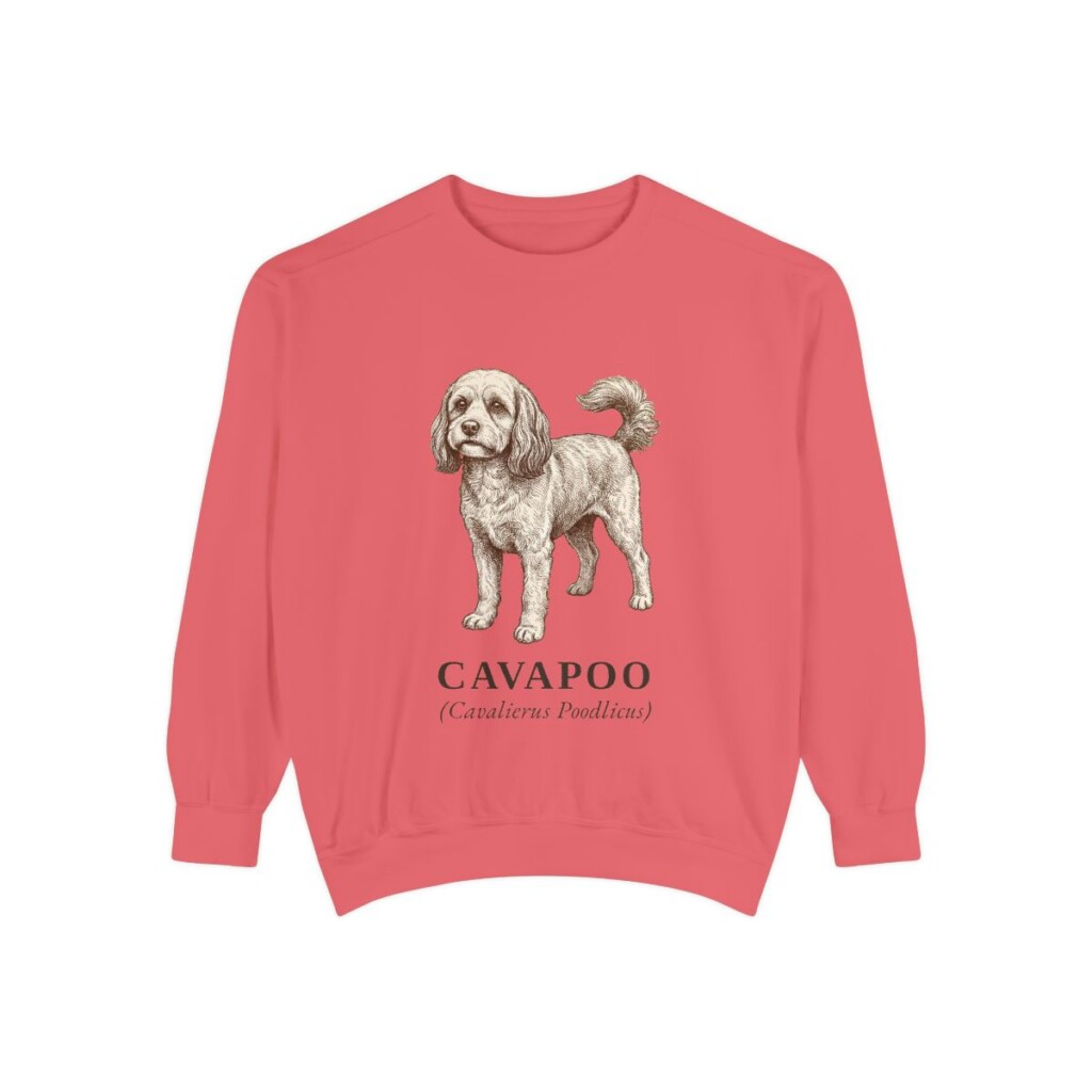 Cavapoo Latin Sweatshirt, Watermelon, front view