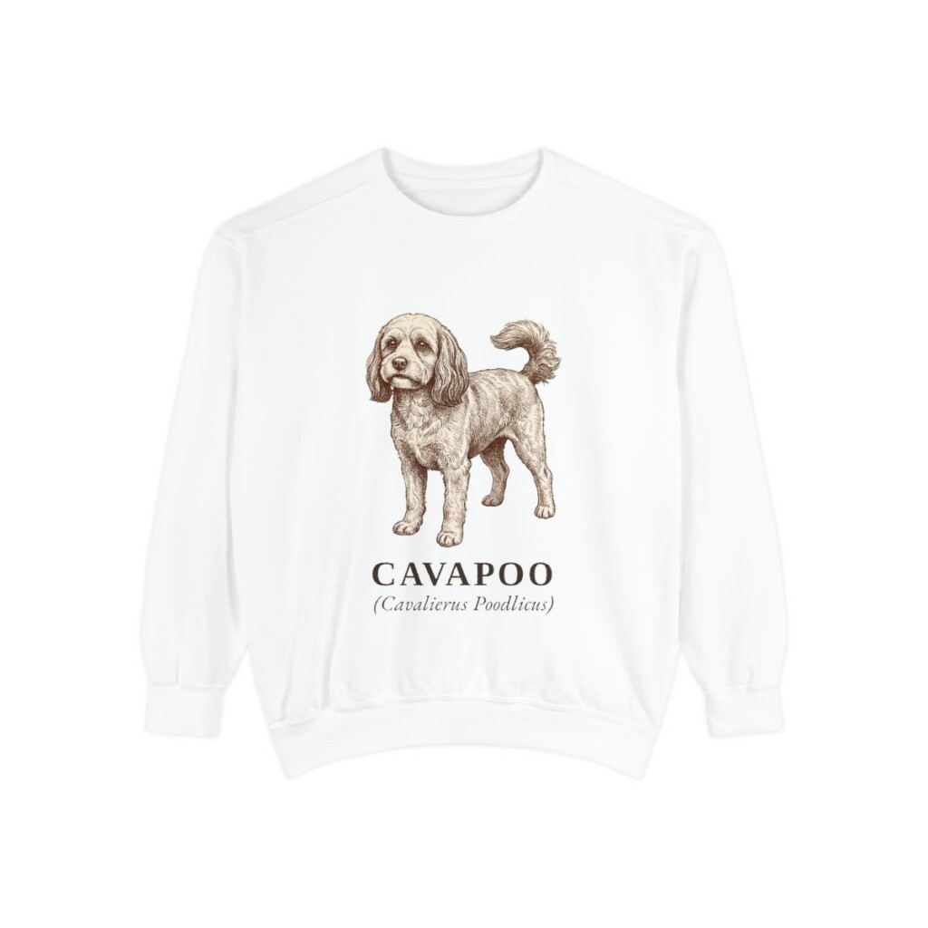 Cavapoo Latin Sweatshirt, White, front view