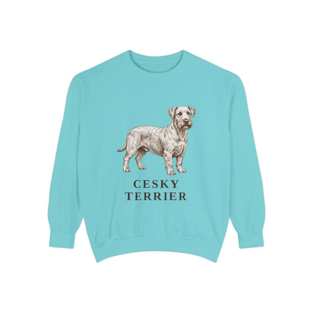 Cesky Terrier Sweatshirt, Chalky Mint, front view