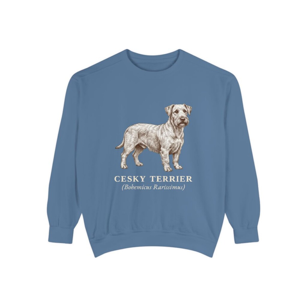 Cesky Terrier Latin Sweatshirt, Blue Jean, front view