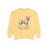 Cesky Terrier Latin Sweatshirt, Butter, front view