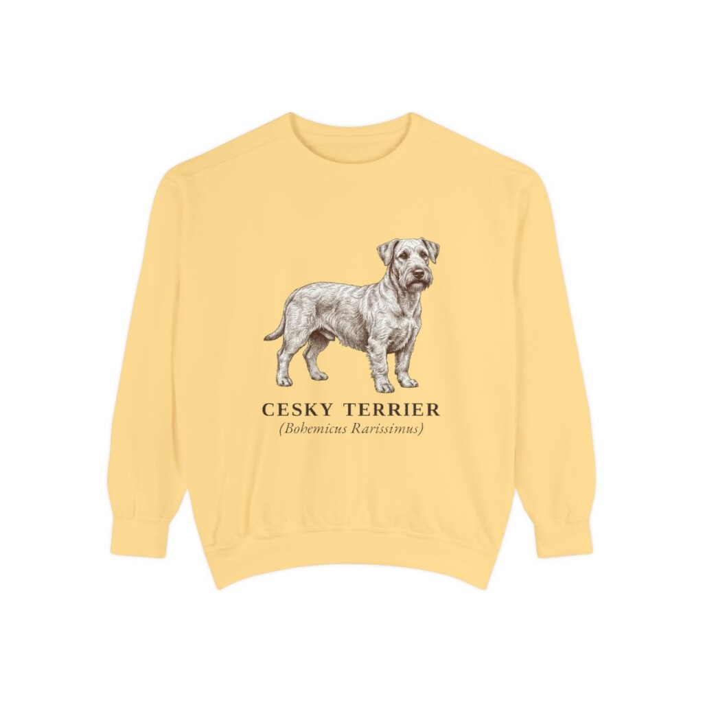 Cesky Terrier Latin Sweatshirt, Butter, front view