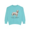 Cesky Terrier Latin Sweatshirt, Chalky Mint, front view