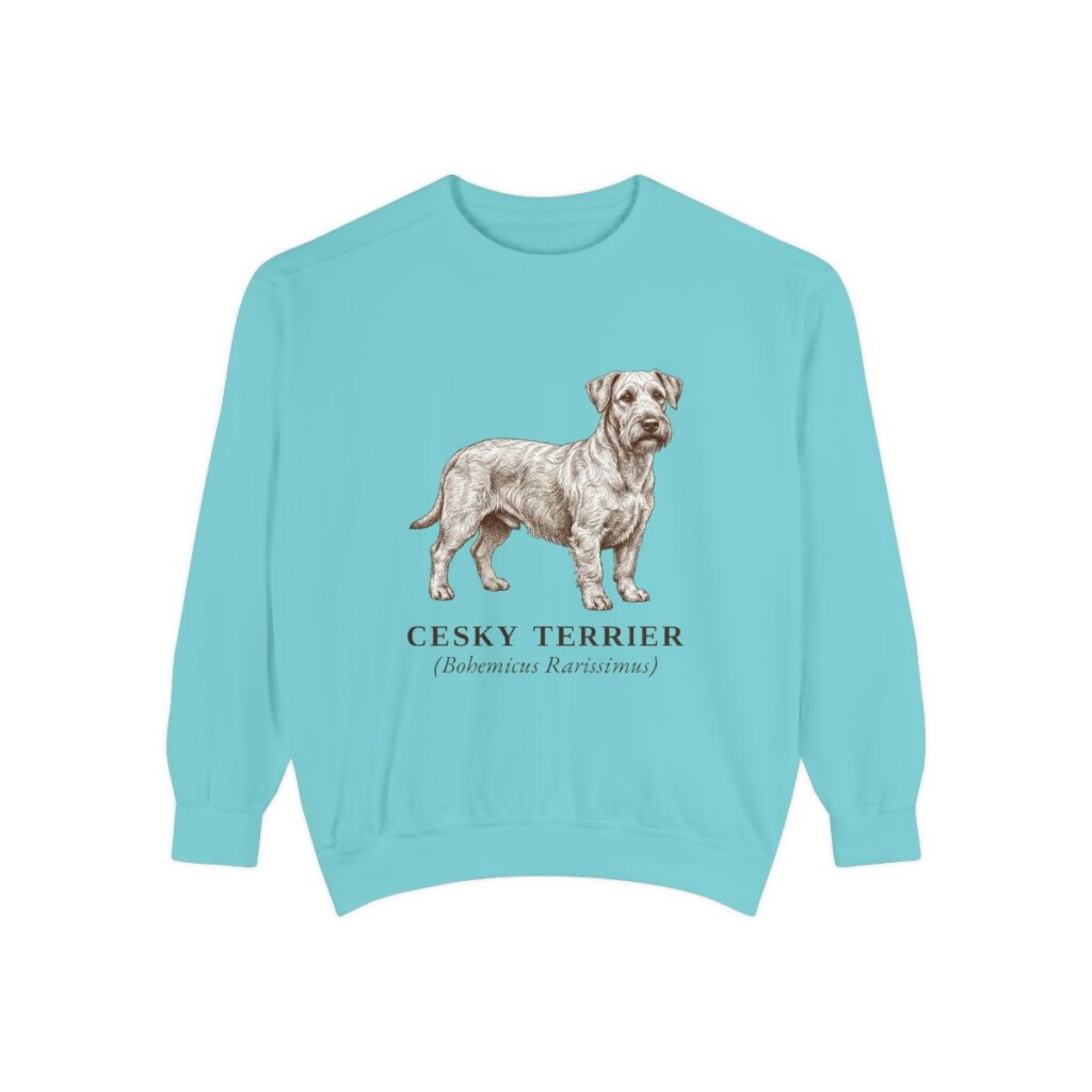 Cesky Terrier Latin Sweatshirt, Chalky Mint, front view