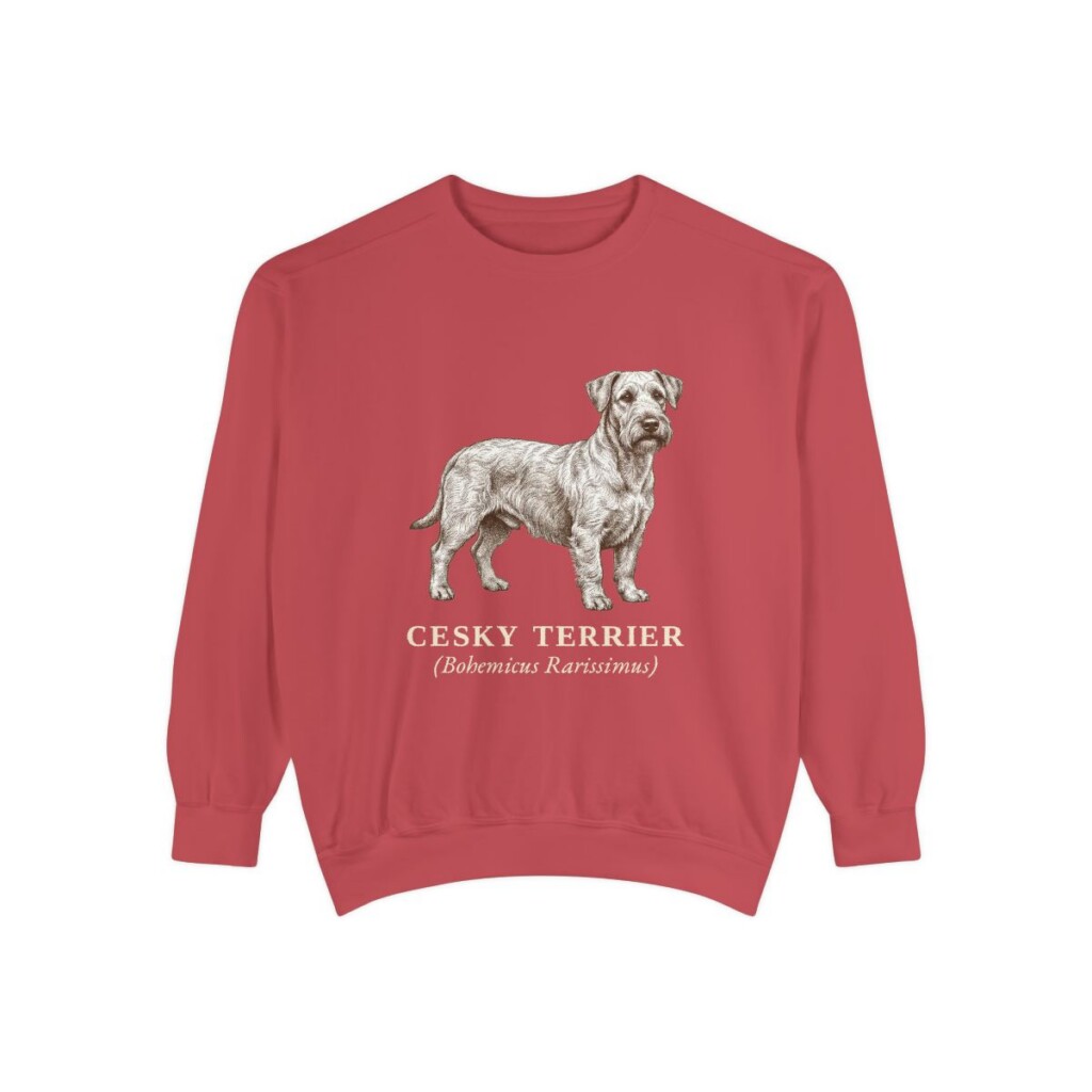 Cesky Terrier Latin Sweatshirt, Crimson, front view